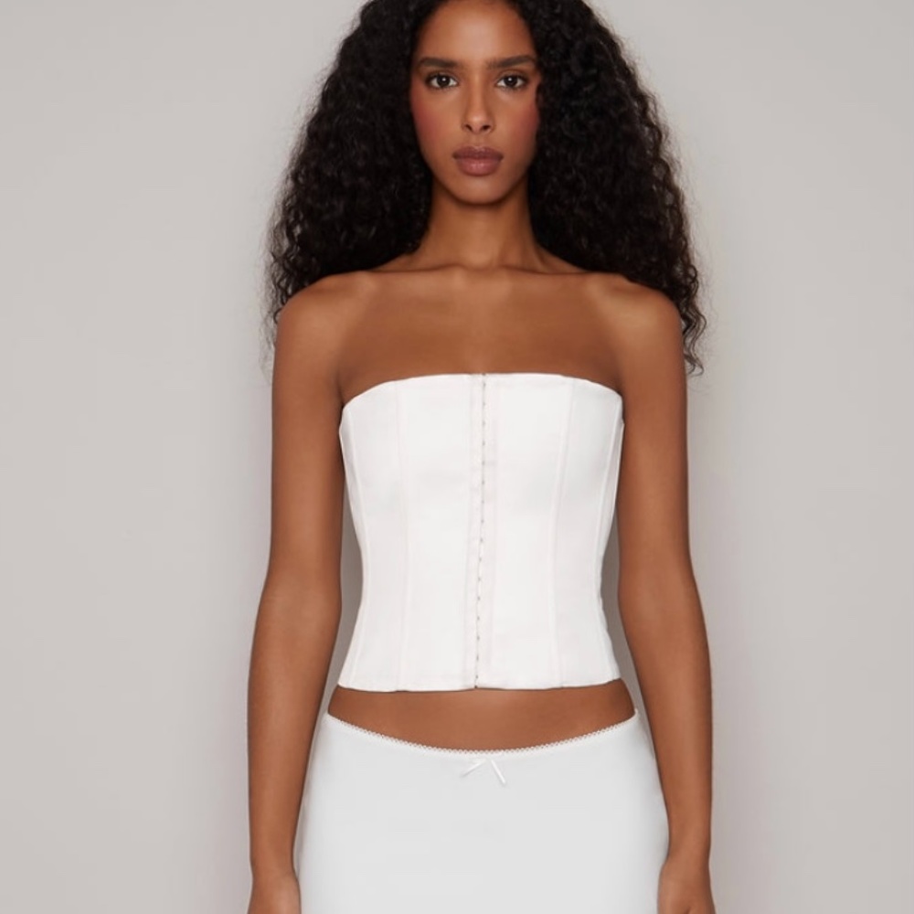 Danielle guizio satin corset NWT